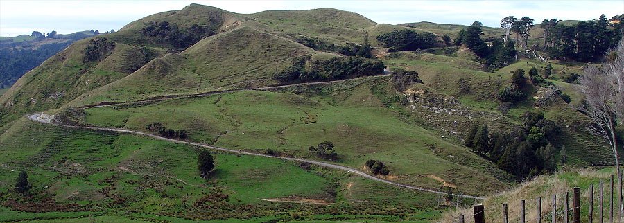 09041911.JPG (128949 bytes)