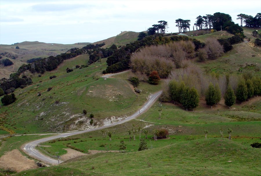 09041912.JPG (145474 bytes)