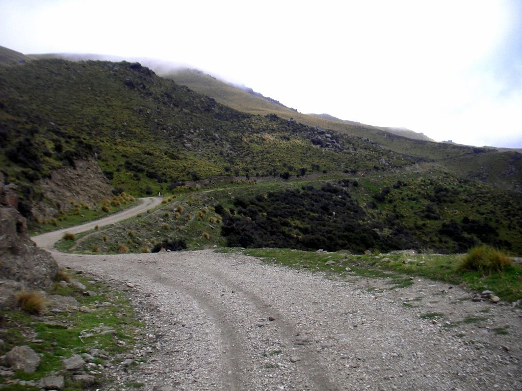 IMGP3876-1.JPG (171867 bytes)