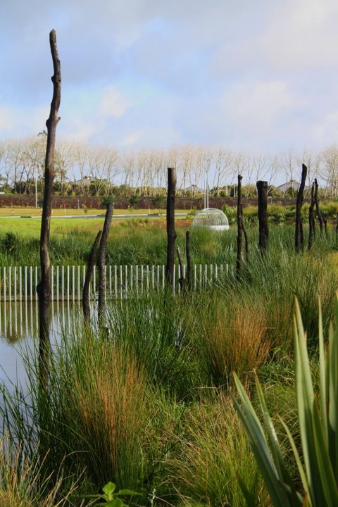 Hobsonville_park-1.JPG (95936 bytes)