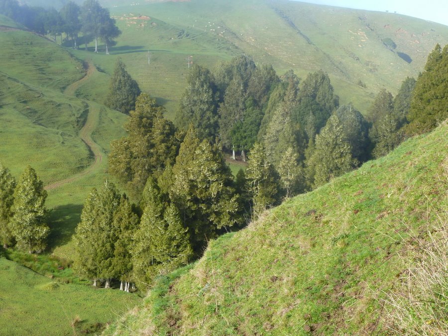 The_fog_has_nearly_cleared-1.JPG (205677 bytes)