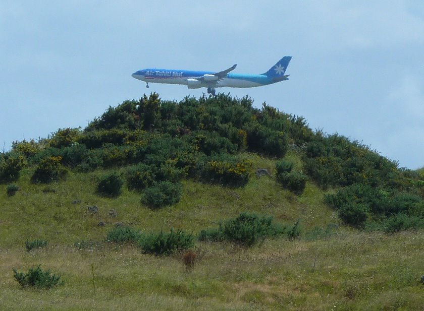 P1010891-1.JPG (113491 bytes)
