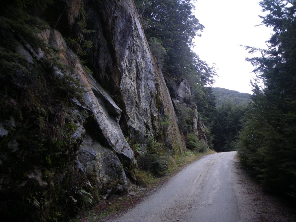 1-IMGP0168.JPG (187757 bytes)