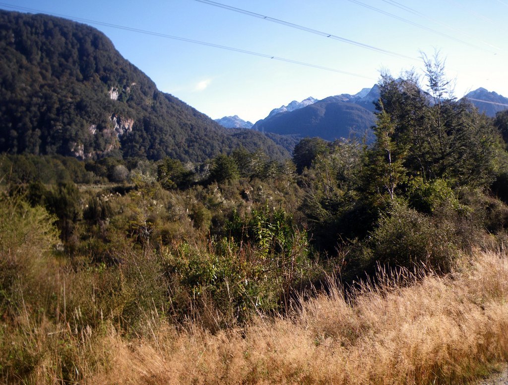 1-IMGP0192.JPG (250047 bytes)