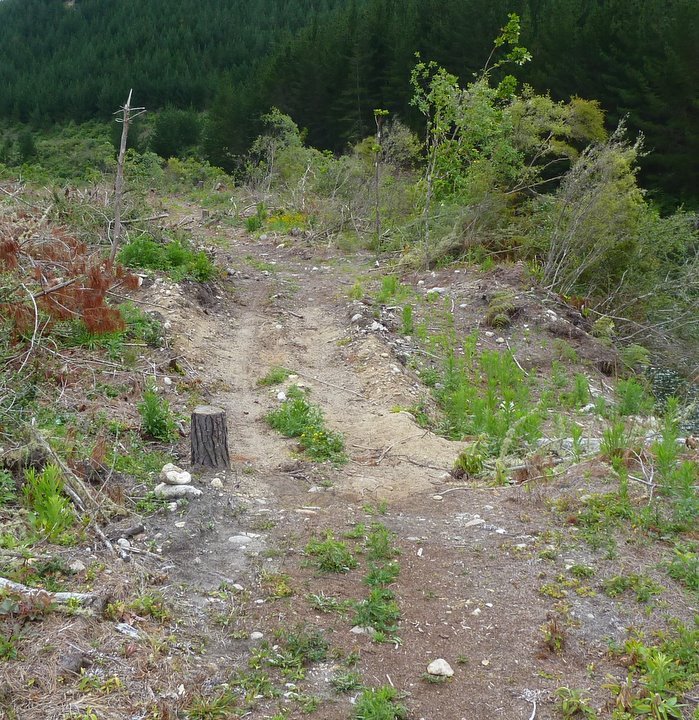 P1010678-1.JPG (221335 bytes)