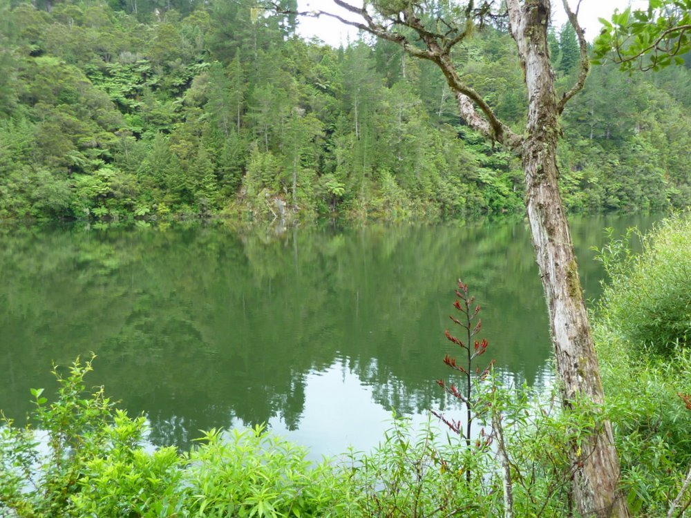 P1010723-1.JPG (238763 bytes)