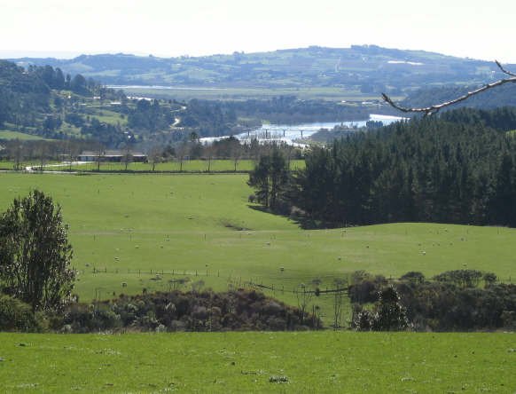 06 Tuakau Bridge_5_1.jpg (36047 bytes)