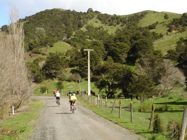 Road to Matahuru web.JPG (107118 bytes)