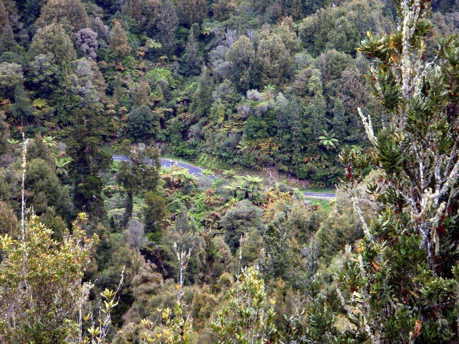 On Whangamomona Saddle-1.jpg (250068 bytes)