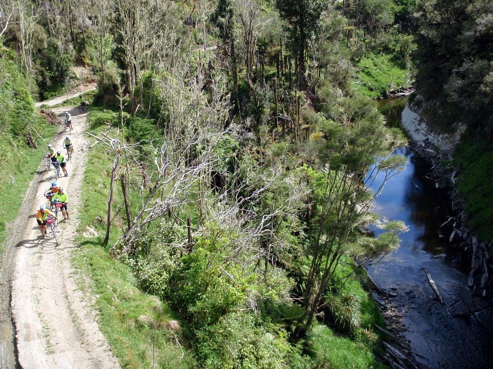 Beside Whangamomona River-1.JPG (300818 bytes)