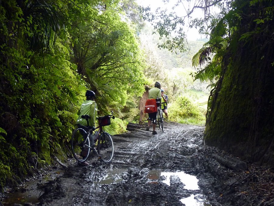 Taranaki Tour Nov-26.jpg (239718 bytes)