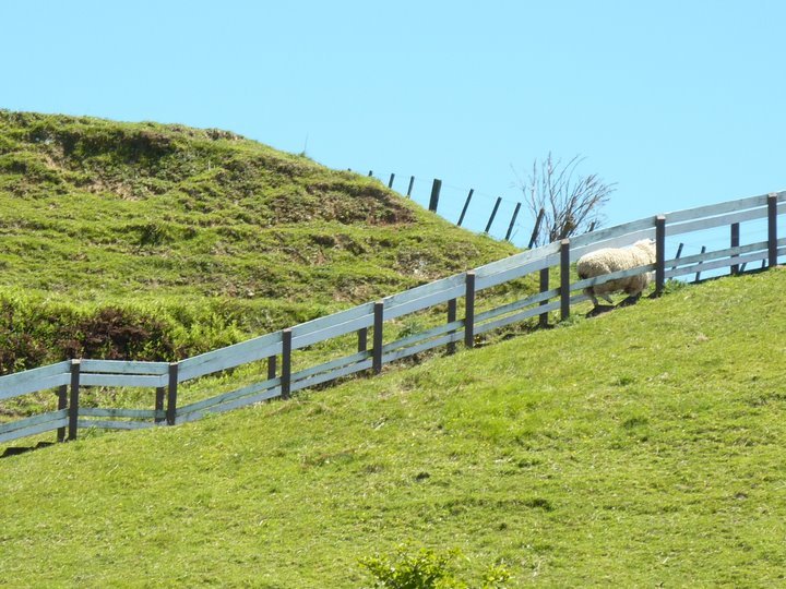 Taranaki Tour Nov-11.jpg (126672 bytes)