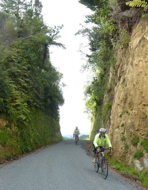 Taranaki Tour Nov-17.jpg (138660 bytes)