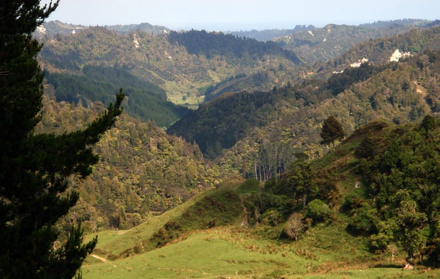 Taranaki hinterland from Kaka Rd-1.jpg (137216 bytes)
