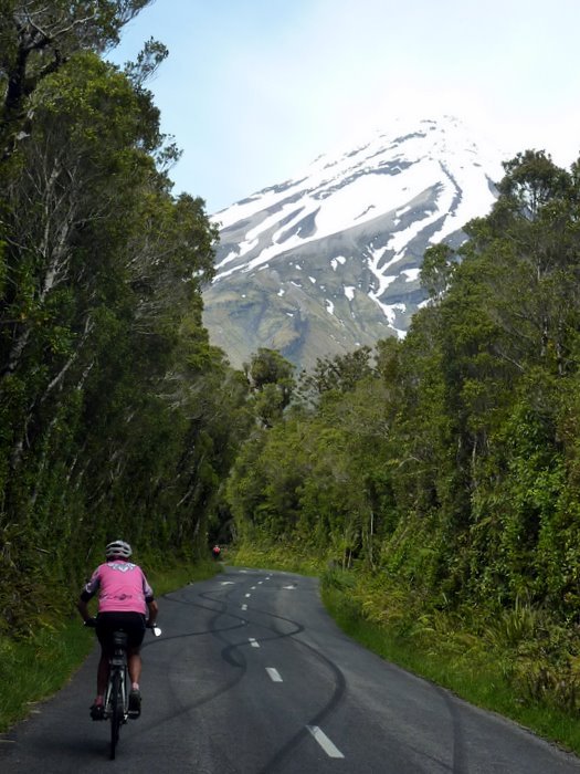 Taranaki Tour Nov-16.jpg (102674 bytes)