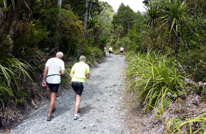 Taranaki Tour Nov-17.jpg (172498 bytes)
