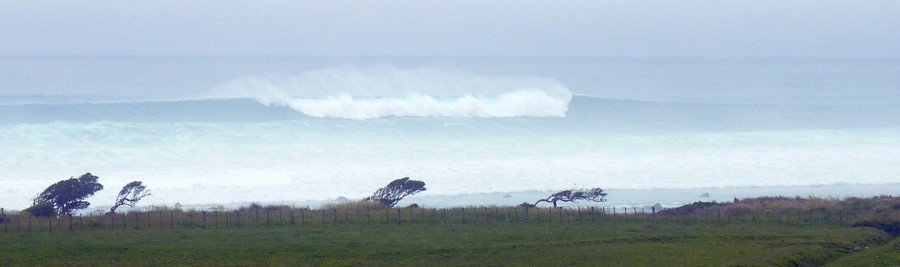 Taranaki Tour Nov-17.jpg (39597 bytes)