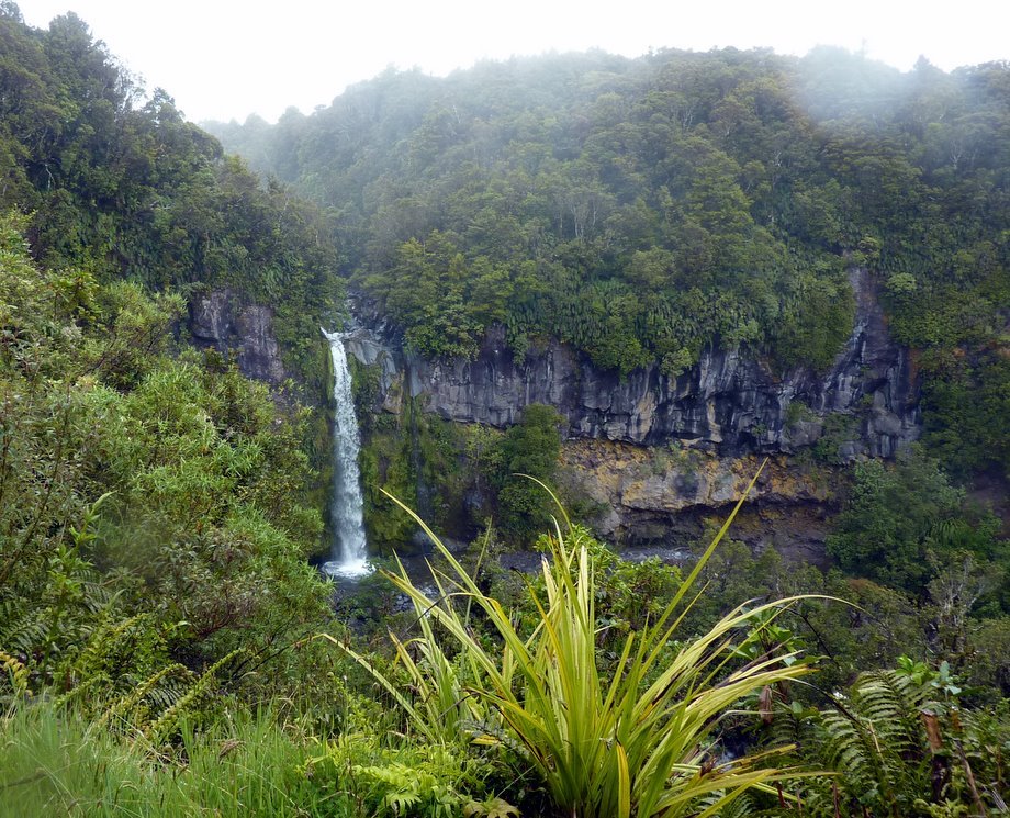 Taranaki Tour Nov-11.jpg (250050 bytes)