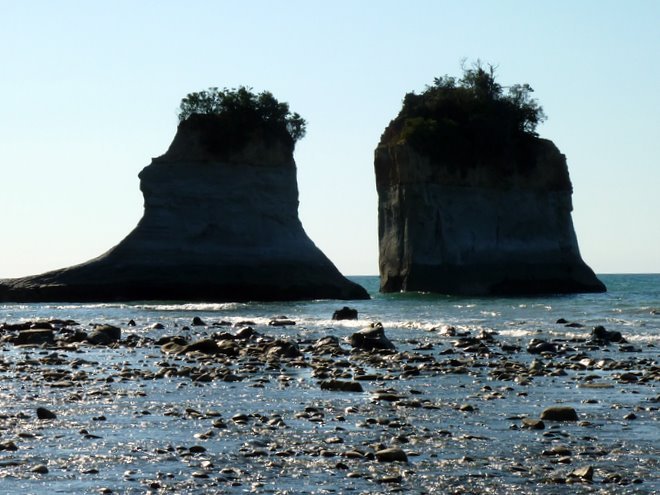 Taranaki Tour Nov-18.jpg (88630 bytes)